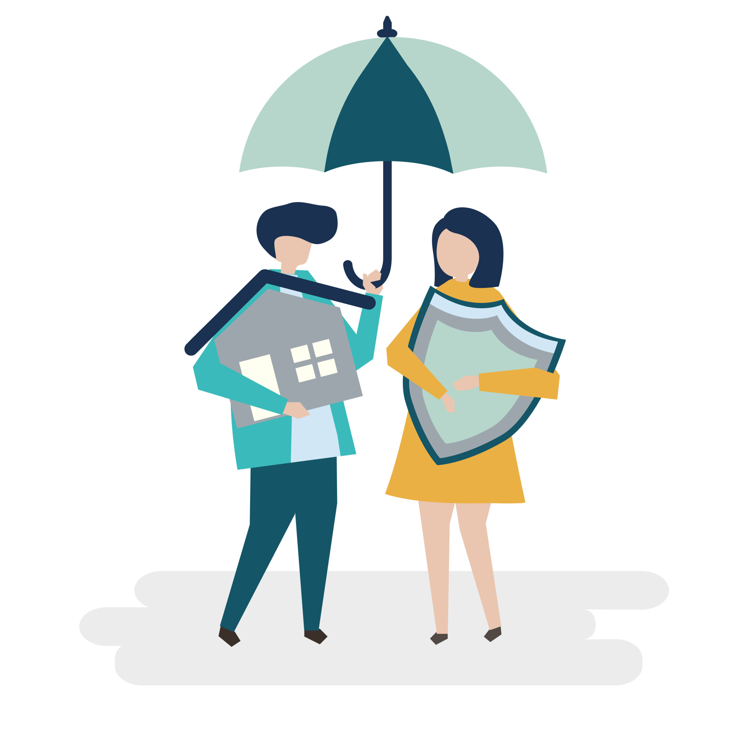 Insurance Provider